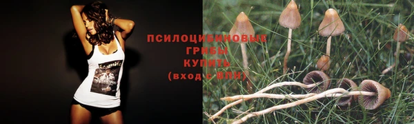 прущие крисы Абинск